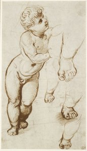 De jonge Christus en andere studies door Raffaello Sanzio Raphael